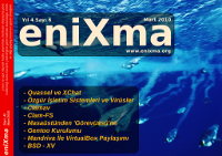 eniXma Mart 2010